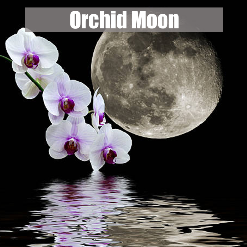 orchidmoon